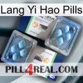 Lang Yi Hao Pills viagra5